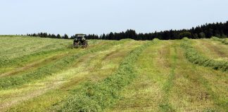 hay field