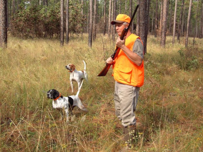hunter hunter