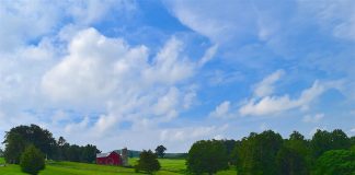 farmland