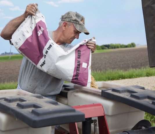 planter soybean seed