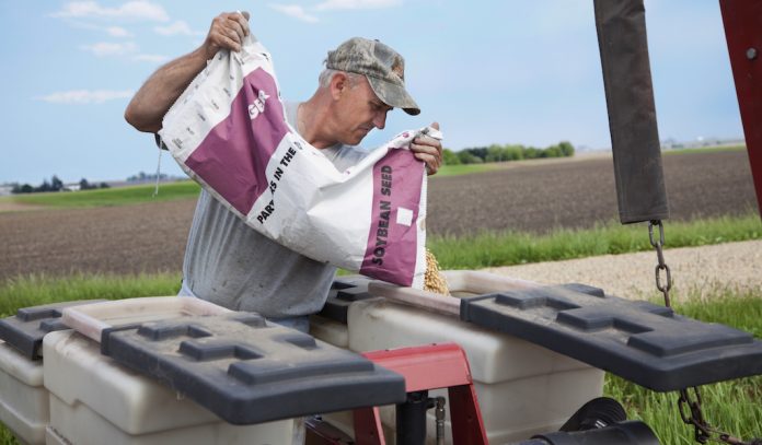 planting soybean seeds planter soybean seed