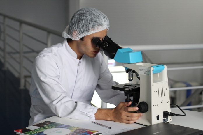 scientist scientist