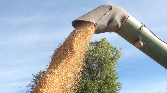 Soybeans Soybeans