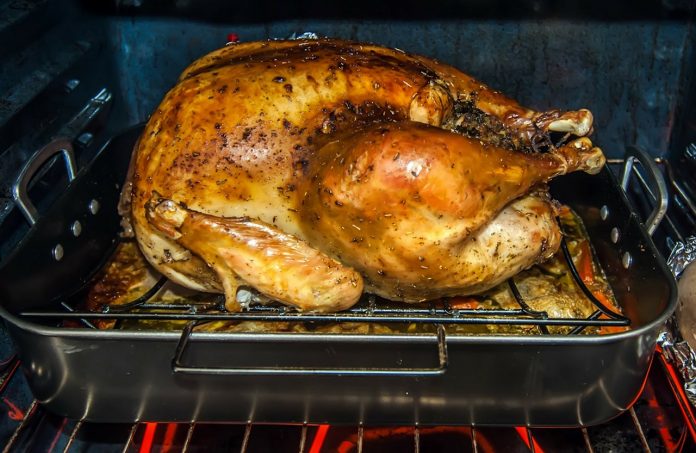 turkey turkey