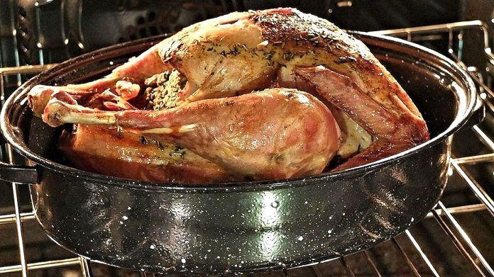 turkey turkey