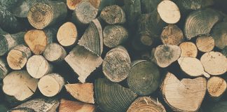 Firewood