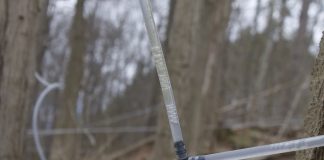 Maple sap collection