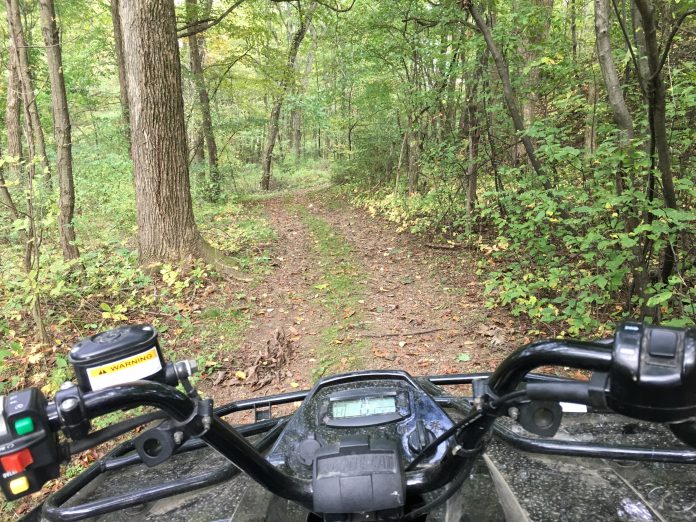ATV in woods ATV in woods