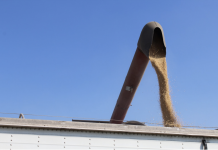 Tariff concerns stir up grain markets Ag trade photo