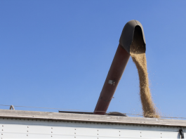 Ag trade photo