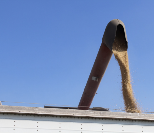 Ag trade photo