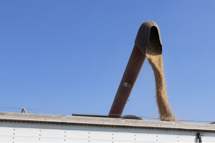 Ag trade photo Ag trade photo
