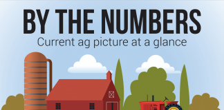 Ag by the numbers banner