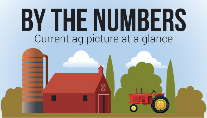 Ag by the numbers banner Ag by the numbers banner