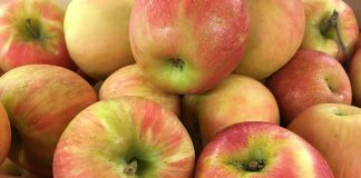 apples