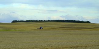 harvest