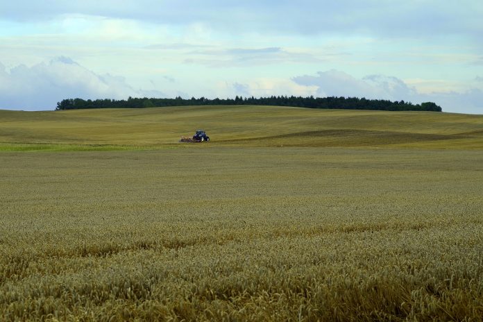 harvest harvest