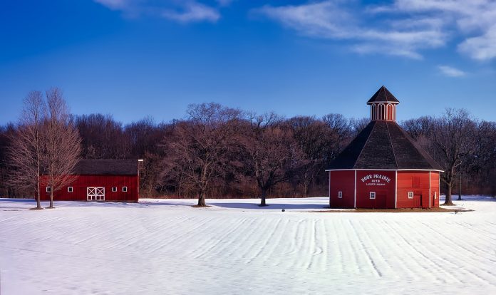 snowy farm snowy farm