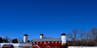 snowy farm