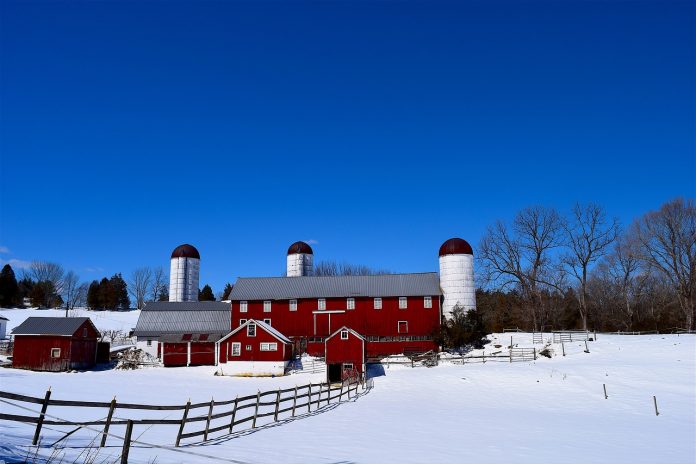 snowy farm snowy farm