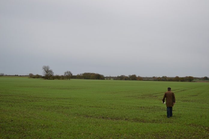 man walking in a field man walking in a field