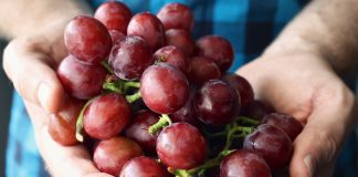grapes