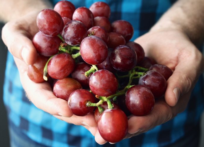 grapes grapes