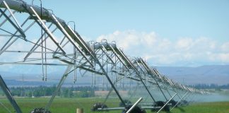 irrigation