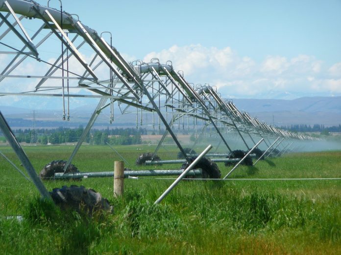 irrigation irrigation