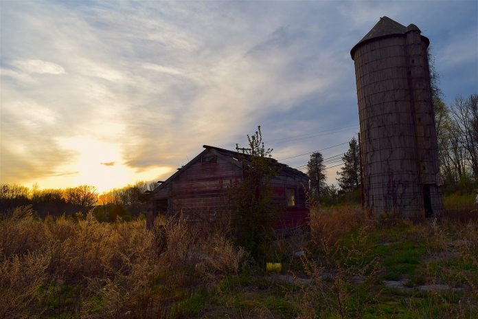 silo and shack silo and shack