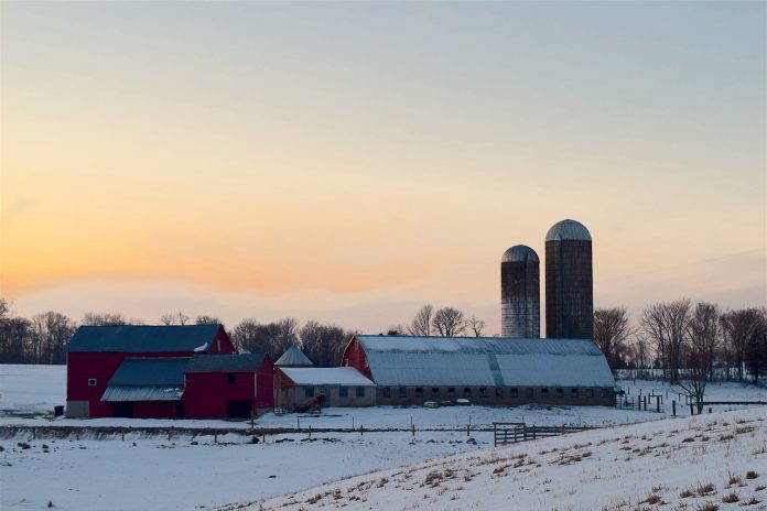snowy farmland snowy farmland