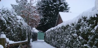 snowy driveway