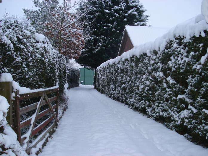 snowy driveway snowy driveway