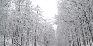 winter