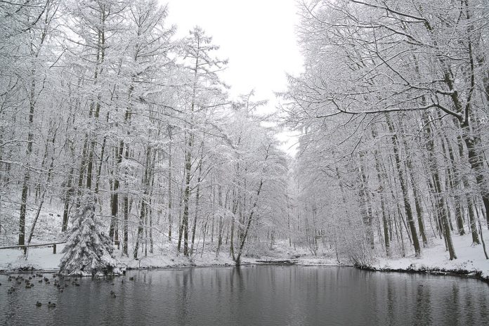 winter winter