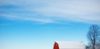 winter barn
