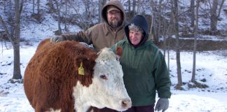 Jeff and Lou Ellen Harr, J&L Cattle