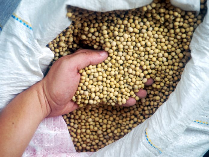 Seed selection Seed selection