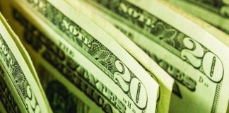 dollar bills