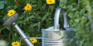 watering can