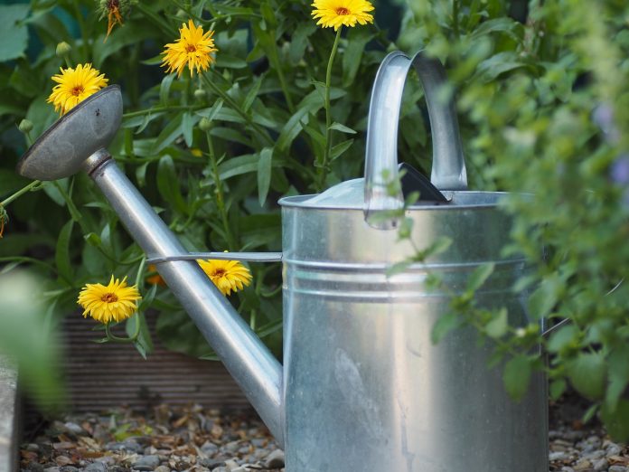watering can watering can