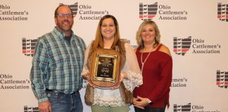 Gerber family award