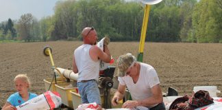 Seed selection 2018