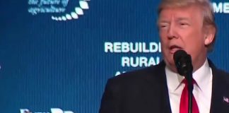 President Donald Trump