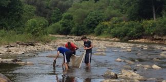 scenic rivers