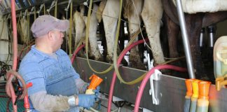 Milking parlor