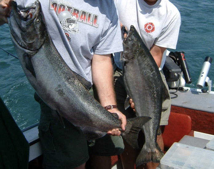 fishing fishing