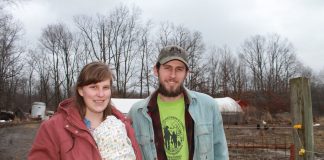 Shepler Family Farm
