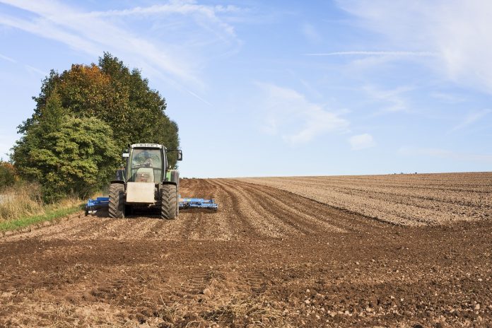 Farmer Farmer