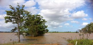 flood